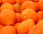 t_fruitorangesstacked3.jpg