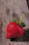 t_fruitstrawberryonwood2.jpg