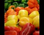 t_vegbellpeppersmulticolored.jpg