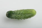 t_vegcucumber.jpg