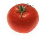 t_vegtomato.jpg